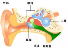 耳朵疼会是中耳炎吗？