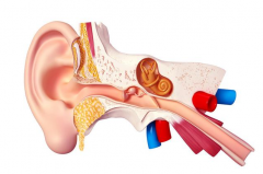 外耳道炎和中耳炎有什么区别？