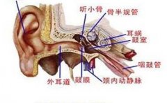 外耳道炎是怎么回事？