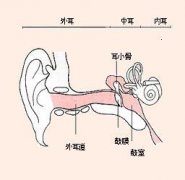 耳鼻喉哪个医院好_外耳道炎的病因有哪些呢?