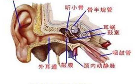 重庆仁品耳鼻喉专科医院_外耳道炎的危害