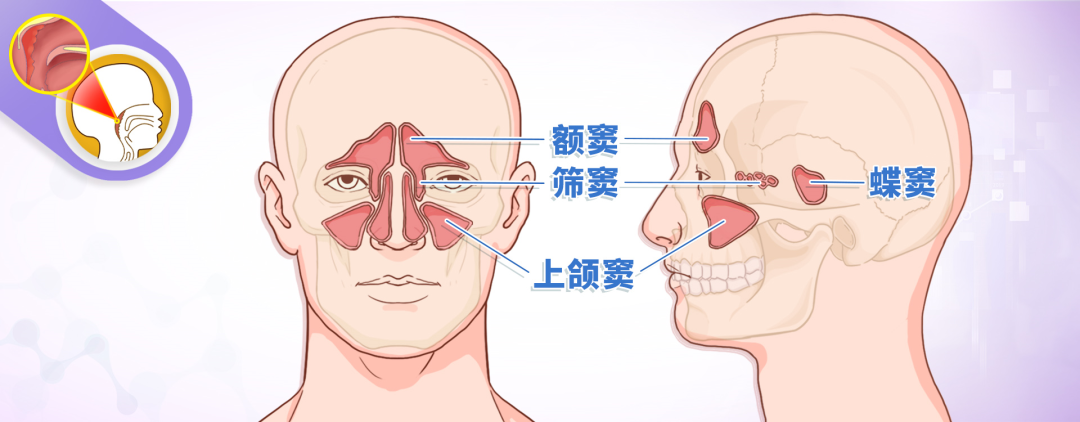 重庆耳鼻喉医院哪个好